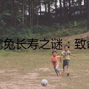 侏儒兔長壽之謎：致命布局的詭計