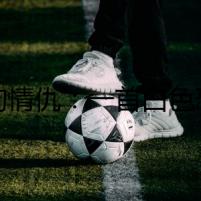 人狗情仇：一首白色恐怖的哀樂