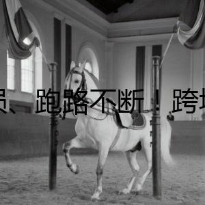 虧損、跑路不斷！跨境最大“坑”是它？