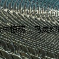 云中驚魂：鳥(niǎo)靈幻影