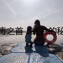 五毒之首：蟾蜍的秘密