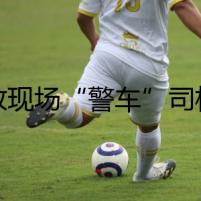 事故現(xiàn)場(chǎng)“警車(chē)”司機(jī)被抓？“遼O”車(chē)牌露餡了
