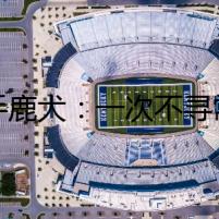 二手鹿犬：一次不尋常的交易