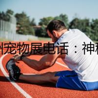 亞洲寵物展電話：神秘寵物買家的死亡邀請(qǐng)函