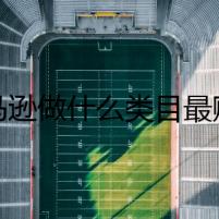 亞馬遜做什么類目最賺錢？賣家的一些數(shù)據(jù)來幫你指路