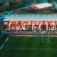 亞馬遜巨人捕鳥蛛的致命誘捕