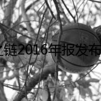 價之鏈2016年報發(fā)布，總資產(chǎn)達(dá)到2.78億