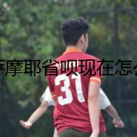 以薩摩耶省唄現(xiàn)在怎么樣了