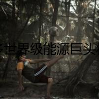 眾多世界級(jí)能源巨頭將亮相高交會(huì)