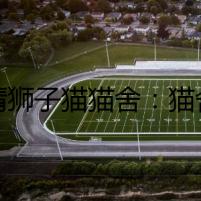 臨清獅子貓貓舍：貓舍主人失蹤之謎