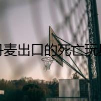 丹麥出口的死亡玩具
