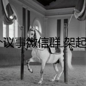 一個(gè)議事微信群 架起村民自治橋梁