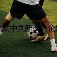 一季度中國新設(shè)外企數(shù)同比增長20.7%