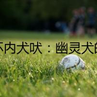 三環(huán)內(nèi)犬吠：幽靈犬的傳說(shuō)
