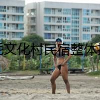 三毛文化村民宿整體打造工程有序推進