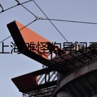 上海灘怪狗異聞錄