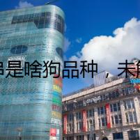 串串是啥狗品種，未解之謎