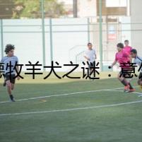 東德牧羊犬之謎：意外發(fā)現(xiàn)的驚天秘密