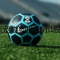 東莞寵物狗批發(fā)市場的秘密