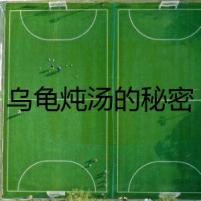 烏龜燉湯的秘密
