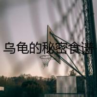 烏龜?shù)拿孛苁匙V