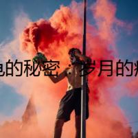 烏龜?shù)拿孛埽簹q月的痕跡