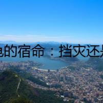 烏龜的宿命：擋災還是死亡的陰影