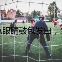烏龜眼睛鼓包發(fā)白，生機(jī)還是死亡的預(yù)兆？