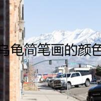 烏龜簡筆畫的顏色
