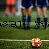 烏龜冬眠歸來，發(fā)現(xiàn)家里一片混亂