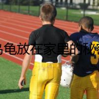 烏龜放在家里的秘密