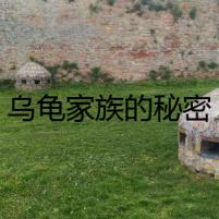 烏龜家族的秘密