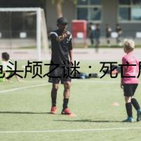 烏龜頭顱之謎：死亡后的生死瞬間