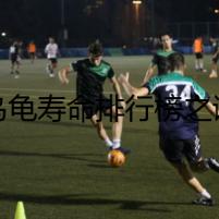 烏龜壽命排行榜之謎