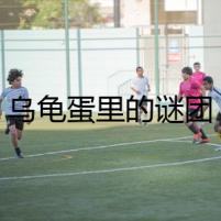 烏龜?shù)袄锏闹i團