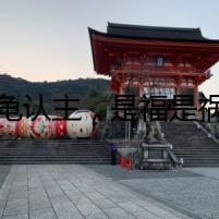 烏龜認(rèn)主，是福是禍？