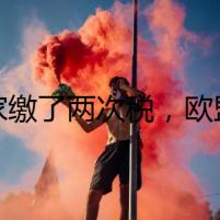 買家繳了兩次稅，歐盟稅改政策執(zhí)行不久就出事了？