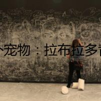 意外寵物：拉布拉多背后的秘密