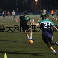 意大利狐貍?cè)i
