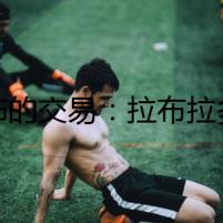 恐怖的交易：拉布拉多幼犬的陰謀