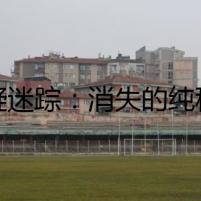 懸疑迷蹤：消失的純種邊境牧羊犬