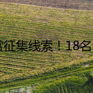 懸賞征集線索！18名臺(tái)灣軍方違法核心骨干曝光