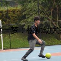 悚然一夢：松獅幼犬的秘密