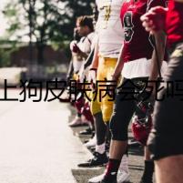 患上狗皮膚病會死嗎？