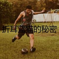 折耳藍(lán)貓的秘密