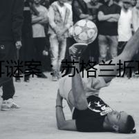 折耳謎案：蘇格蘭折耳貓的生死之謎