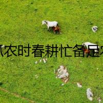 搶抓農(nóng)時(shí)春耕忙備足農(nóng)資保生產(chǎn)