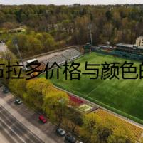 拉布拉多價(jià)格與顏色的秘密