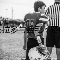 拉布拉多與金毛：疑點重重的遺囑