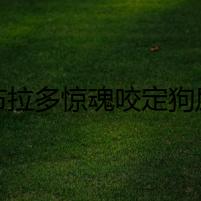拉布拉多驚魂咬定狗屎案